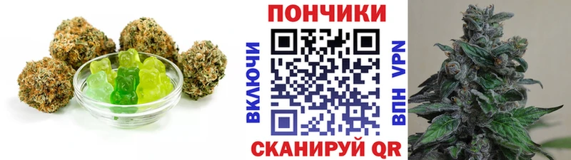 Cannafood марихуана  ОМГ ОМГ зеркало  Олонец  цены  