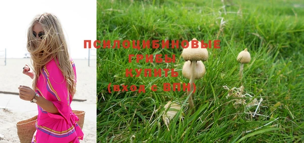 ГАЛЛЮЦИНОГЕННЫЕ ГРИБЫ Армянск
