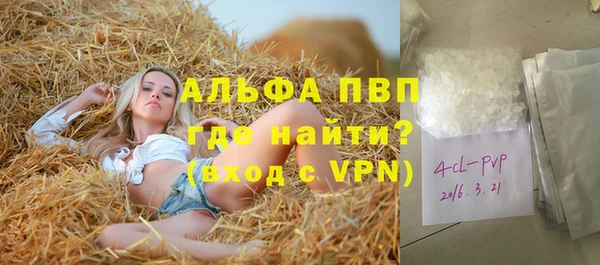 дживик Арсеньев